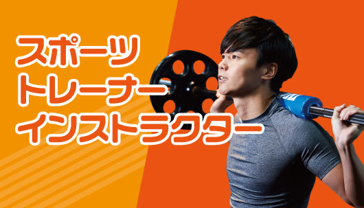 スポーツ分野