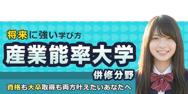 産業能率大学 併修分野